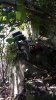 P_20171015_160534_SRES.jpg