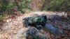 _copie-0_DSC_0038.jpg