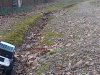 photo rc 006.jpg