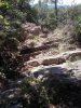 20180812_115806.jpg