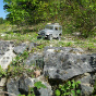 steff60700