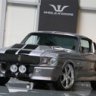 shelby