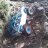 crawler15